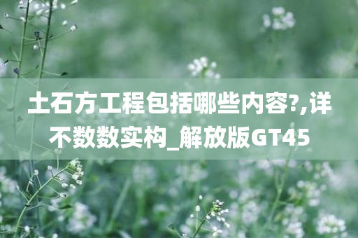 土石方工程包括哪些内容?,详不数数实构_解放版GT45