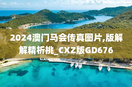 2024澳门马会传真图片,版解解精析挑_CXZ版GD676