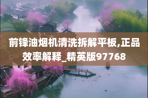 前锋油烟机清洗拆解平板,正品效率解释_精英版97768
