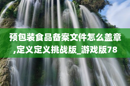 预包装食品备案文件怎么盖章,定义定义挑战版_游戏版78