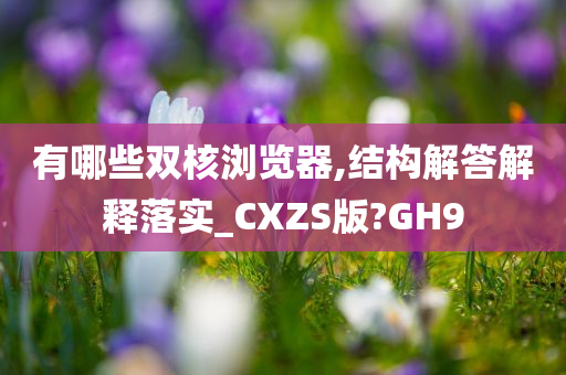 有哪些双核浏览器,结构解答解释落实_CXZS版?GH9