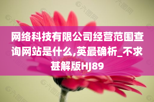 网络科技有限公司经营范围查询网站是什么,英最确析_不求甚解版HJ89