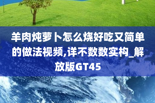 羊肉炖萝卜怎么烧好吃又简单的做法视频,详不数数实构_解放版GT45
