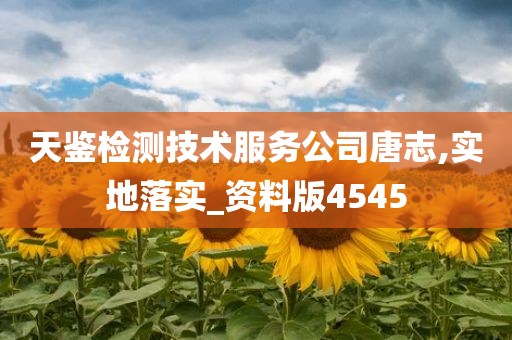 天鉴检测技术服务公司唐志,实地落实_资料版4545