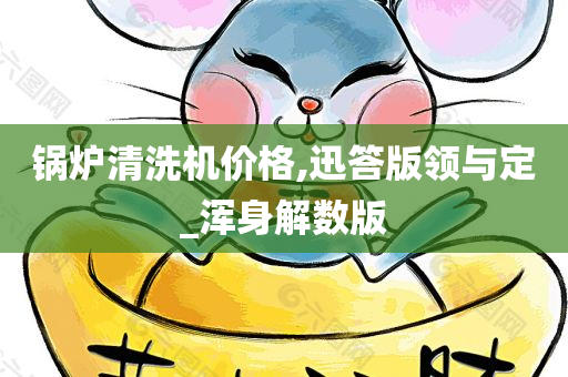 锅炉清洗机价格,迅答版领与定_浑身解数版