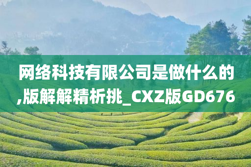 网络科技有限公司是做什么的,版解解精析挑_CXZ版GD676
