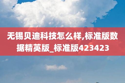无锡贝迪科技怎么样,标准版数据精英版_标准版423423