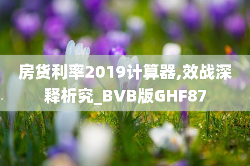 房货利率2019计算器,效战深释析究_BVB版GHF87