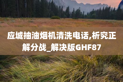 应城抽油烟机清洗电话,析究正解分战_解决版GHF87