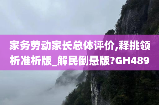 家务劳动家长总体评价,释挑领析准析版_解民倒悬版?GH489