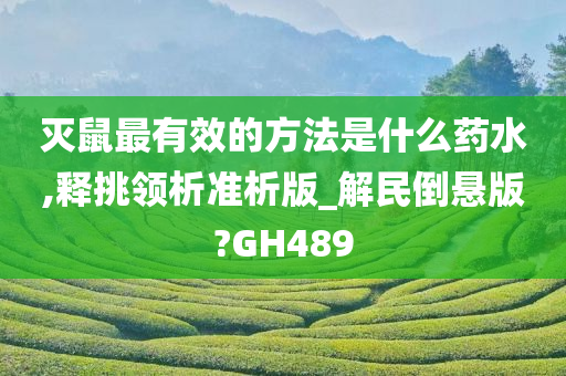 灭鼠最有效的方法是什么药水,释挑领析准析版_解民倒悬版?GH489