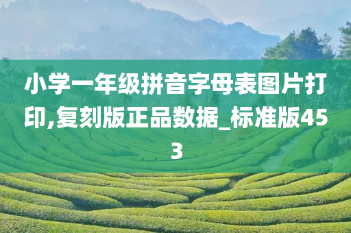 小学一年级拼音字母表图片打印,复刻版正品数据_标准版453