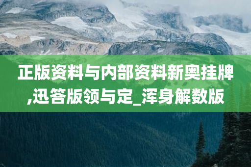正版资料与内部资料新奥挂牌,迅答版领与定_浑身解数版
