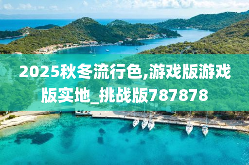 2025秋冬流行色,游戏版游戏版实地_挑战版787878