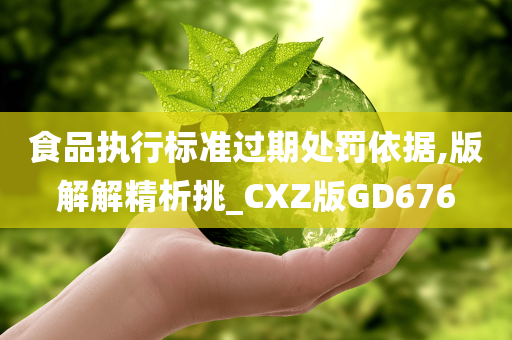 食品执行标准过期处罚依据,版解解精析挑_CXZ版GD676