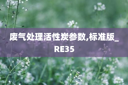 废气处理活性炭参数,标准版_RE35
