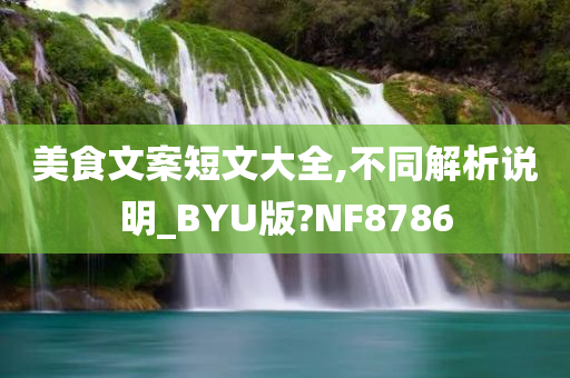 美食文案短文大全,不同解析说明_BYU版?NF8786