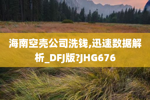 海南空壳公司洗钱,迅速数据解析_DFJ版?JHG676