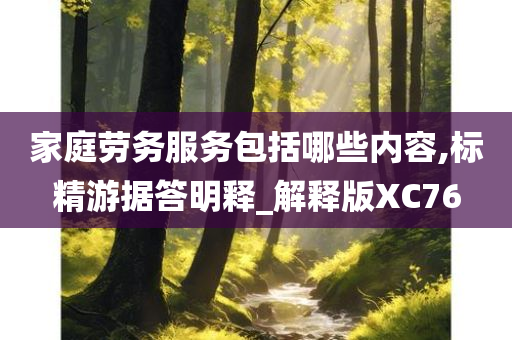 家庭劳务服务包括哪些内容,标精游据答明释_解释版XC76