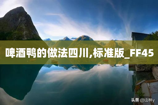 啤酒鸭 第2页