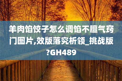 羊肉馅饺子怎么调馅不膻气窍门图片,效版落究析领_挑战版?GH489