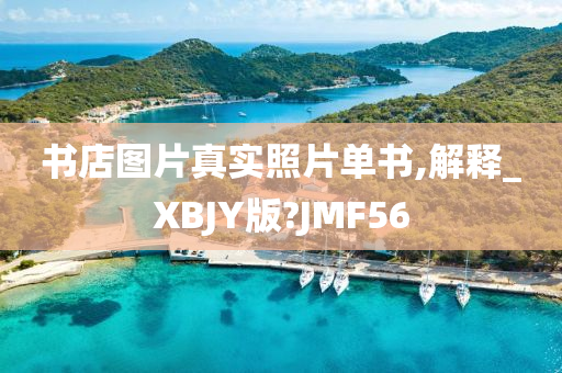 书店图片真实照片单书,解释_XBJY版?JMF56