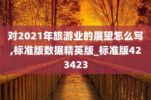 对2021年旅游业的展望怎么写,标准版数据精英版_标准版423423