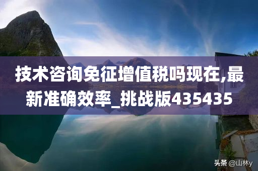 技术咨询免征增值税吗现在,最新准确效率_挑战版435435