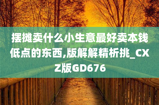 摆摊卖什么小生意最好卖本钱低点的东西,版解解精析挑_CXZ版GD676