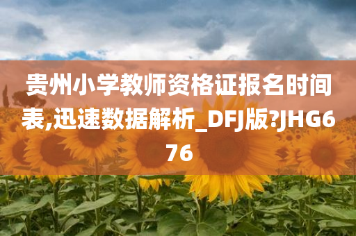 贵州小学教师资格证报名时间表,迅速数据解析_DFJ版?JHG676