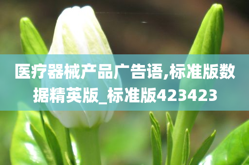 医疗器械产品广告语,标准版数据精英版_标准版423423