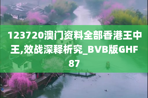 123720澳门资料全部香港王中王,效战深释析究_BVB版GHF87