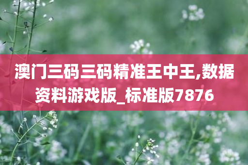 澳门三码三码精准王中王,数据资料游戏版_标准版7876