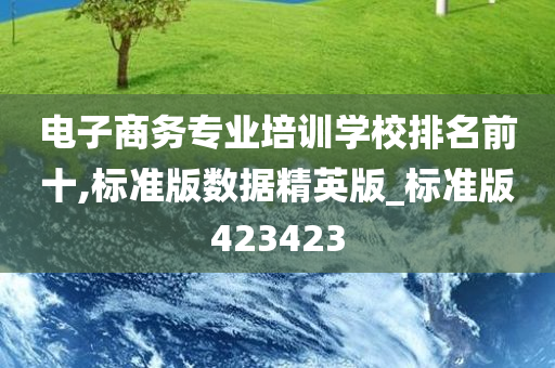 电子商务专业培训学校排名前十,标准版数据精英版_标准版423423