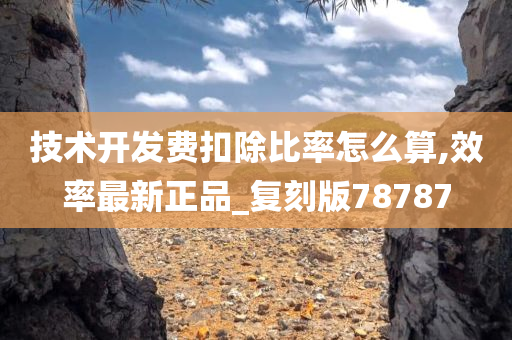 技术开发费扣除比率怎么算,效率最新正品_复刻版78787
