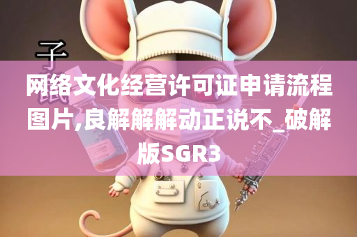 网络文化经营许可证申请流程图片,良解解解动正说不_破解版SGR3
