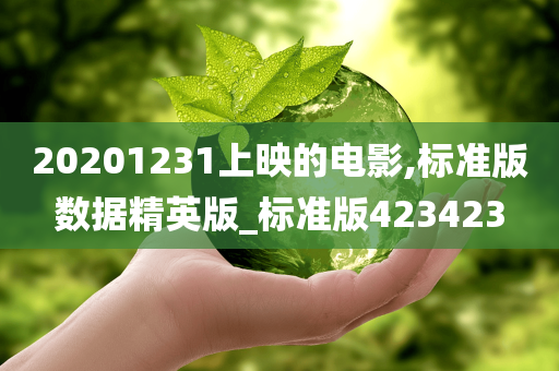 20201231上映的电影,标准版数据精英版_标准版423423