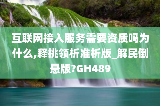 互联网接入服务需要资质吗为什么,释挑领析准析版_解民倒悬版?GH489