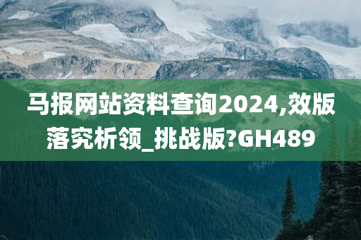马报网站资料查询2024,效版落究析领_挑战版?GH489