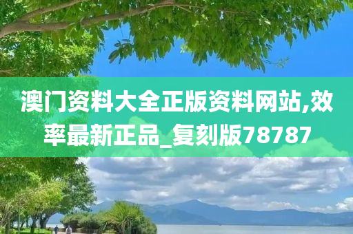 澳门资料大全正版资料网站,效率最新正品_复刻版78787