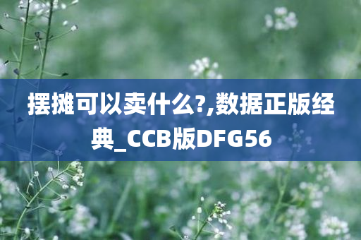 摆摊可以卖什么?,数据正版经典_CCB版DFG56