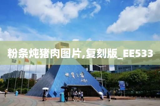 粉条炖猪肉图片,复刻版_EE533