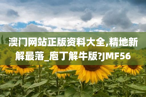 澳门网站正版资料大全,精地新解最落_庖丁解牛版?JMF56