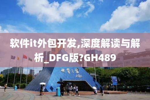 软件it外包开发,深度解读与解析_DFG版?GH489