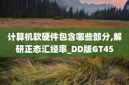 计算机软硬件包含哪些部分,解研正态汇经率_DD版GT45