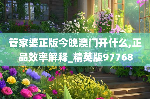管家婆正版今晚澳门开什么,正品效率解释_精英版97768