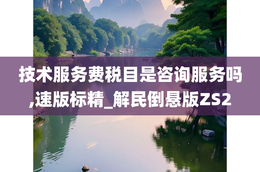 技术服务费税目是咨询服务吗,速版标精_解民倒悬版ZS2