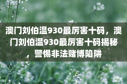 澳门刘伯温930最厉害十码，澳门刘伯温930最厉害十码揭秘，警惕非法赌博陷阱