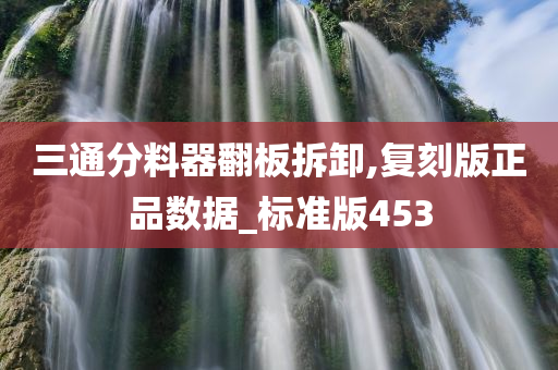 三通分料器翻板拆卸,复刻版正品数据_标准版453