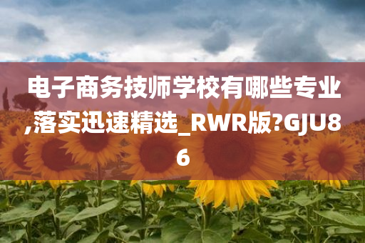电子商务技师学校有哪些专业,落实迅速精选_RWR版?GJU86